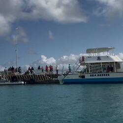 die Kreuzfahrtgäste steigen aus auf Bonaire. 1 Tag haben sie hier zur Verfügung.