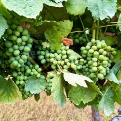 Lots of these today!