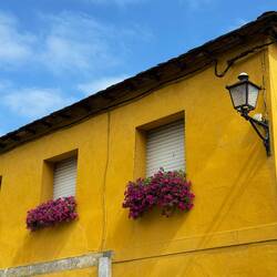 This house color is popular, but the pink really makes it pop.