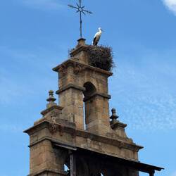 You could take this same picture all the way across Spain. I guess I have now, ha.