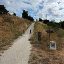 The first hill on this round, out of Ponferrada. Thanks to Assisi for the training!