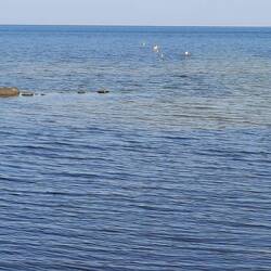 Kleine Fähnchen im Wasser markieren die "Fahrrinne"