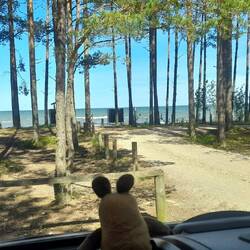 Der wunderbare RMK-Stellplatz nördlich von Kärdla