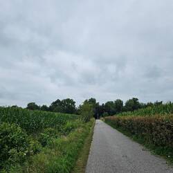 Rustige ochtend, rustig parcours.