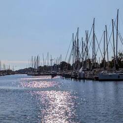 Auch Greifswald empfängt uns bei bestem Wetter 🌞