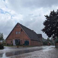 ... sondern genau auf mich zu. Das Bushüsli war mein Regendach.