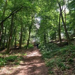 Weg naar / road to