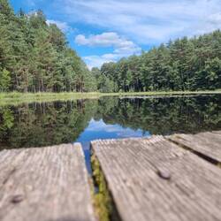 Lieschbach meer/lake