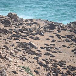 ...und hundertfach an Land...