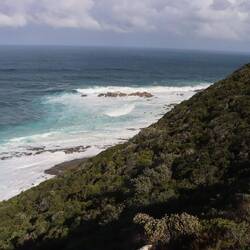 ...sieht man das Meer in hohen Wellen gegen die bewaldeten Berghänge schlagen