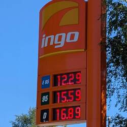 Noch ist alles Super Ingo!