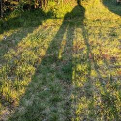 Die Schatten sind hier lange lang