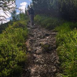 Weiter geht's bergauf!🦿