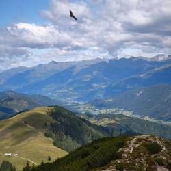 Auf einer Höhe mit den Greifvögeln, Jochen wüsste jetzt sicher was das für einer ist.