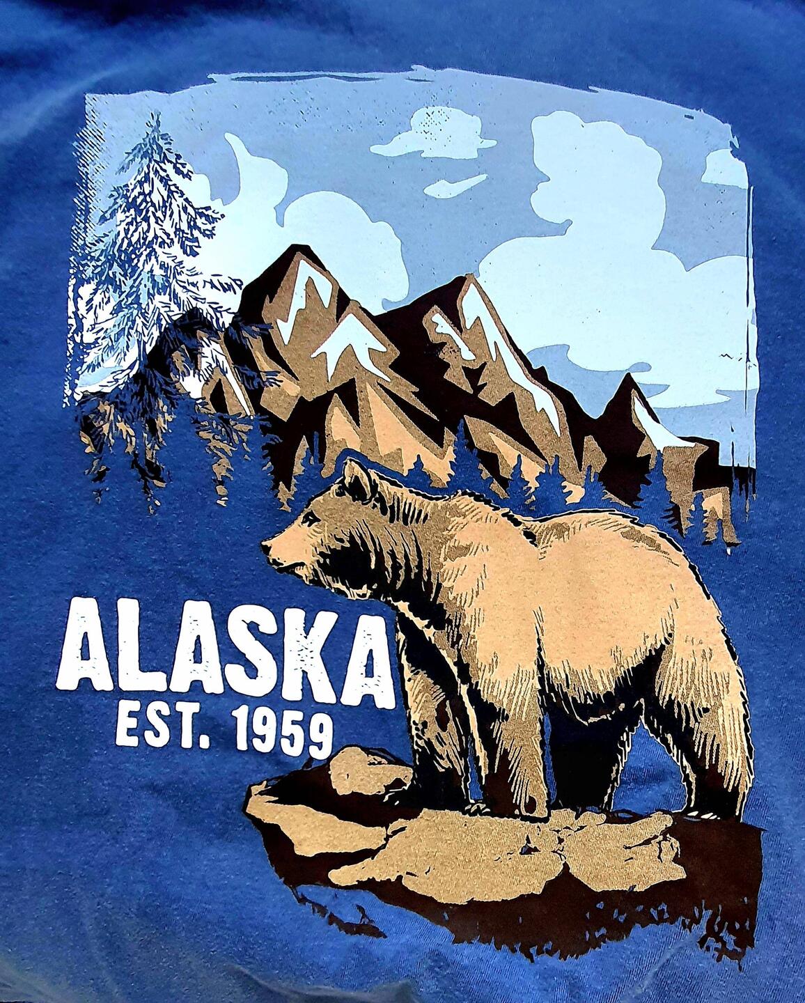 Das Motiv vom T-Shirt 1