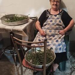 Unsere Vermieterin Flora verarbeitet die getrocknete Minze