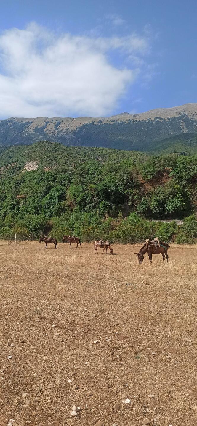 Fahrt nach Bënjës
