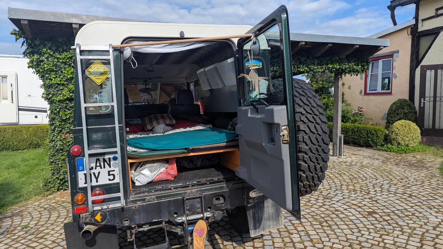 Dino ist vorbereitet