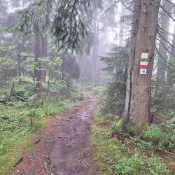 Schöne Pfade