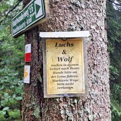 Nen Luchs habe ich noch nicht getroffen