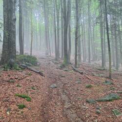 Mystische Stimmung