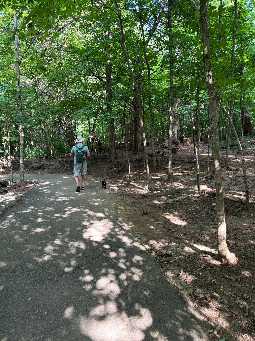 Bernheim Forest trail