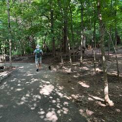 Bernheim Forest trail