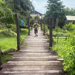 Tous les chemins sont sur pilotis, que nous arpentons avec plaisir durant des kilomètres ! 🥰