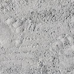 Erst die Bärenspuren...