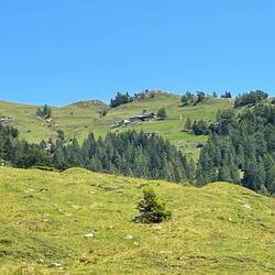 Die Landschaft ist lieblicher geworden