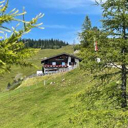 Die Buchenackeralm ist erreicht