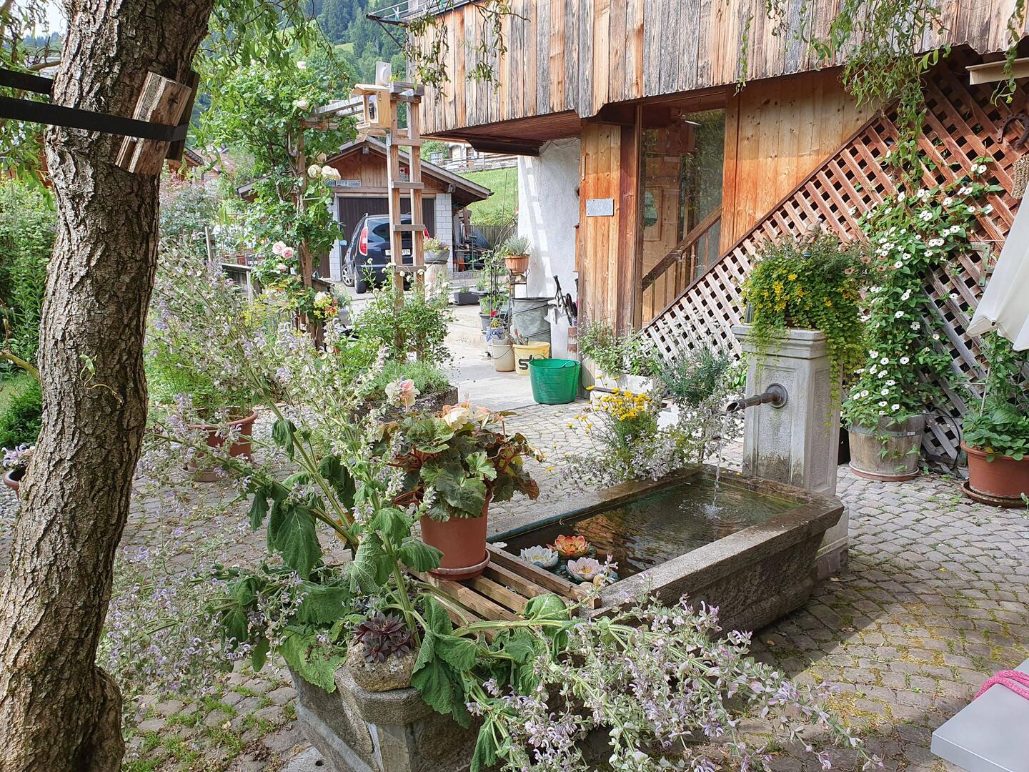 Mit vielen schönen Eindrücken wieder zurück auf dem Hof