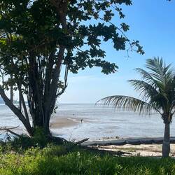 Very low tide