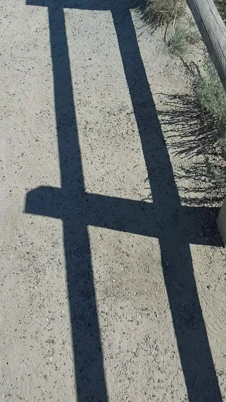 Der Sänger.