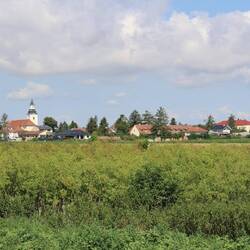 Hohenau