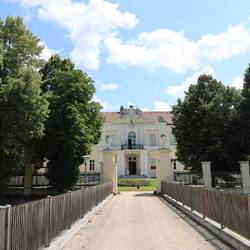 Schloss Liechtenstein in Wilfersdorf