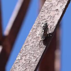 Biolärm vom Feinsten! (Ton an)