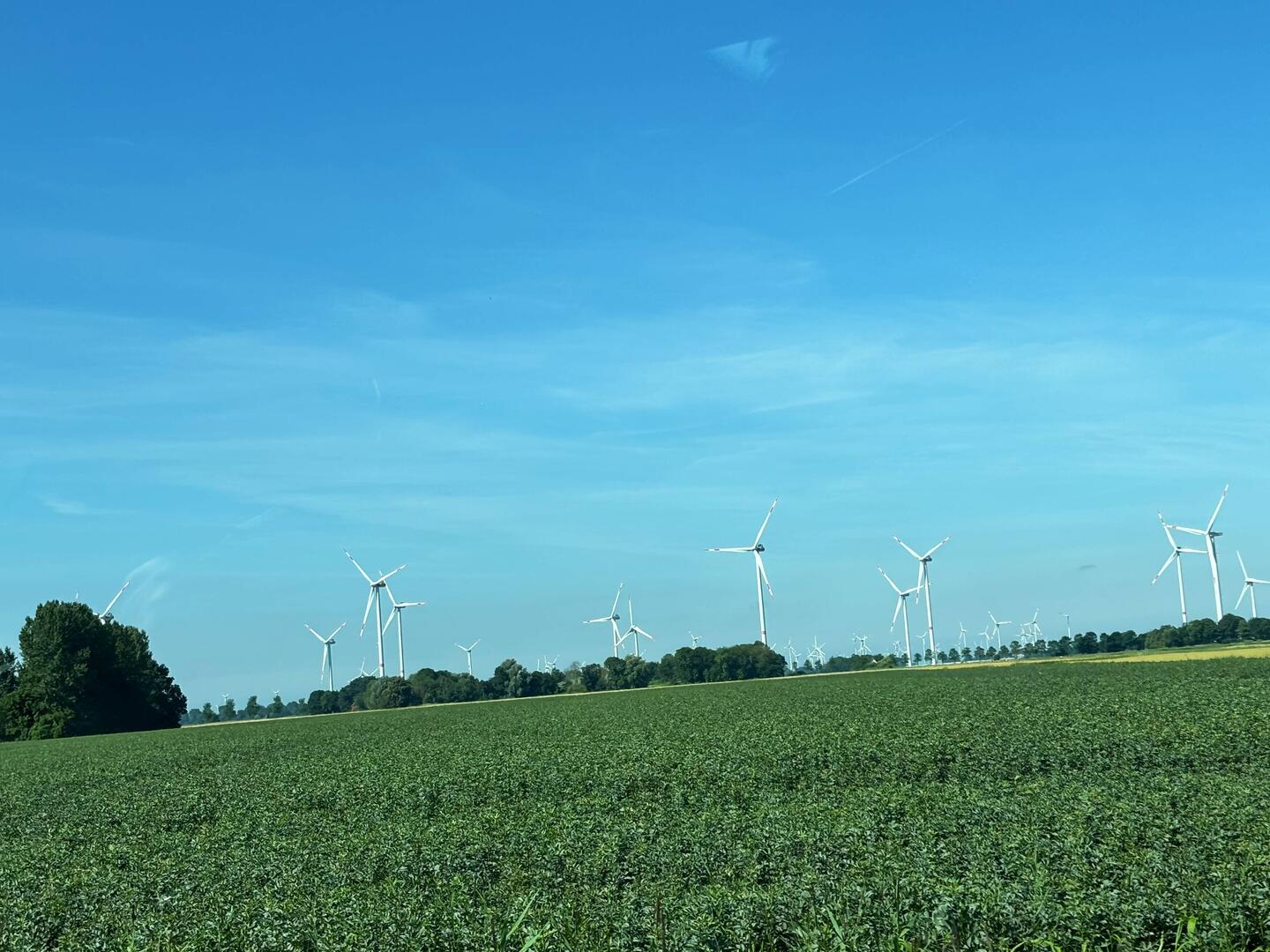 Hundreds of windmills everywhere.