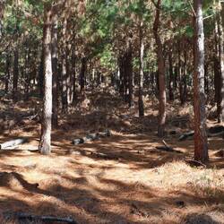 Es geht auf eine letzte Runde an die Küste...