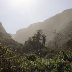 Die Wellen treiben die hohe Luftfeuchtigkeit in die Schlucht...