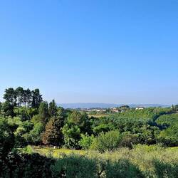 We verlaten Siena via deze panoramaweg