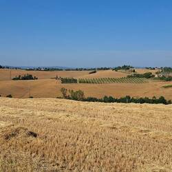 Toscane ten voeten uit