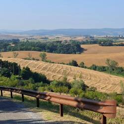 Het gouden landschap