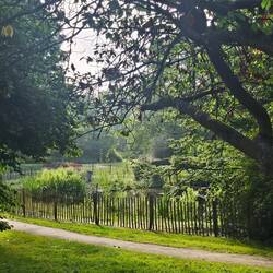 In het Wilhelminapark.