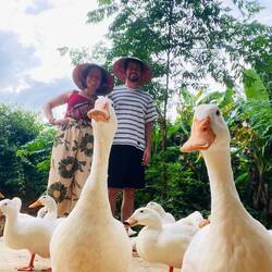 Im Duck Stop 🦆