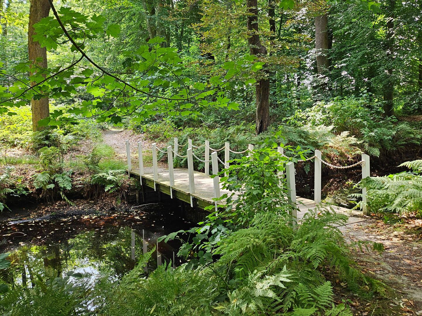 Leuke bruggetjes.