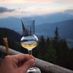 Enzian vom Heinz😋