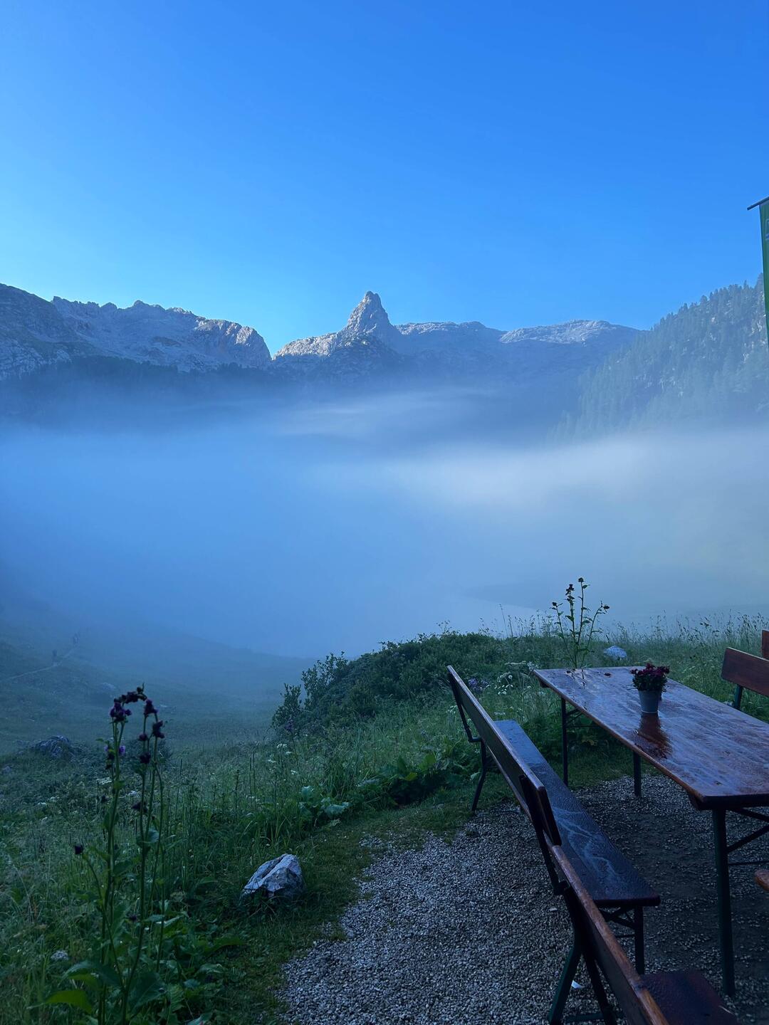 Nebel am Fruntensee