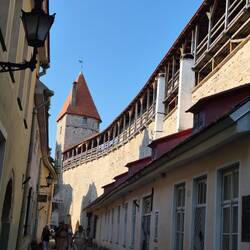 Und wieder die begehbare Stadtmauer