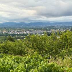 Looking back at Cacabelos